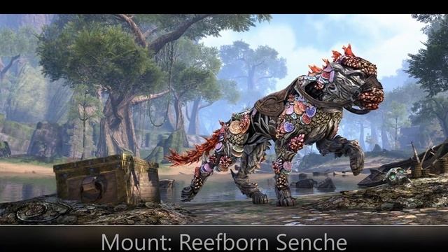 Elder Scrolls Online PTS: Mounts & Pets (Ascending Tide DLC / High Isle) смотреть онлайн