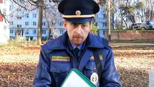 Листопад Пущино смотреть онлайн