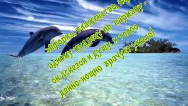не жди, не бойся, не проси!!! смотреть онлайн