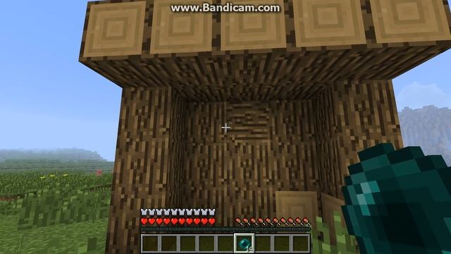 как пройти через стену minecraft смотреть онлайн