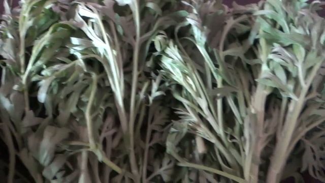 Полынь, магические и лечебные свойства смотреть онлайн