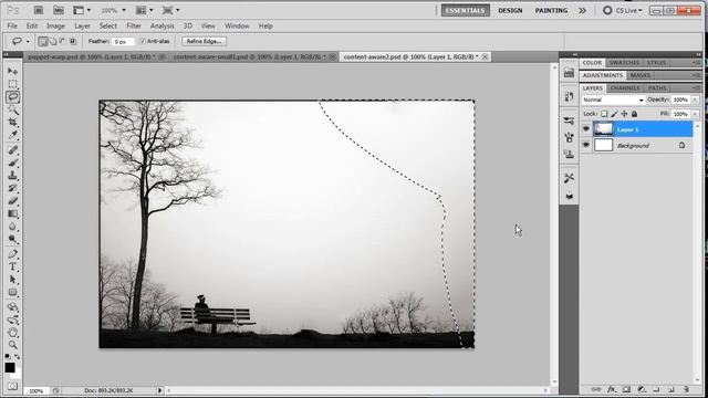 Adobe Photoshop CS5 Extended - Quick Run Through of New Features смотреть онлайн
