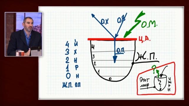 Увидеть другой мир смотреть онлайн