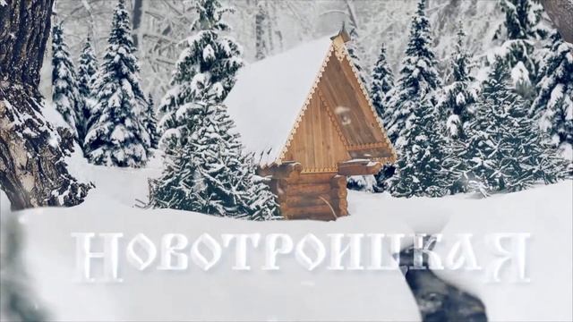 Новотроицкая (зима) смотреть онлайн