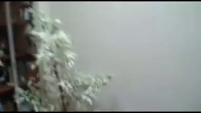 Беседы с утюгом смотреть онлайн