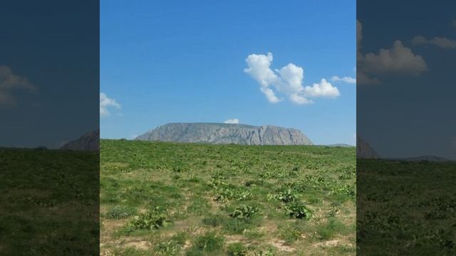 Йога смотреть онлайн