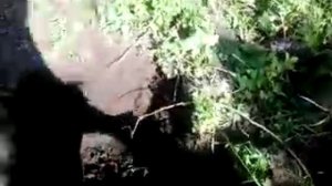 Установка самострела на крота 1