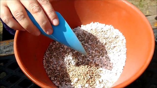 Lithops: Las piedras vivas смотреть онлайн