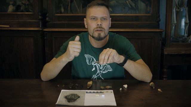 Зубы динозавров.  Рассказывает Павел Скучас