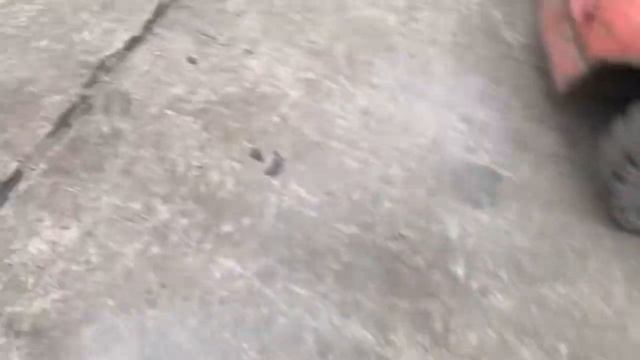 Разборка Mercedes - C W203 2000-2007, 2.2 CDI (VIN: WDB2032041F307519) V3912 смотреть онлайн