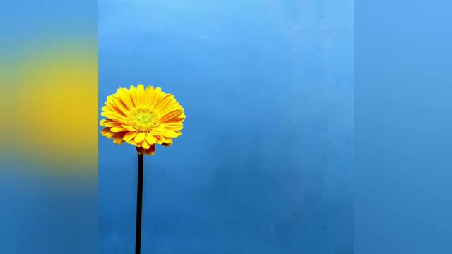 ПРАКТИКА ПЕСНЯ СЕРДЦА смотреть онлайн