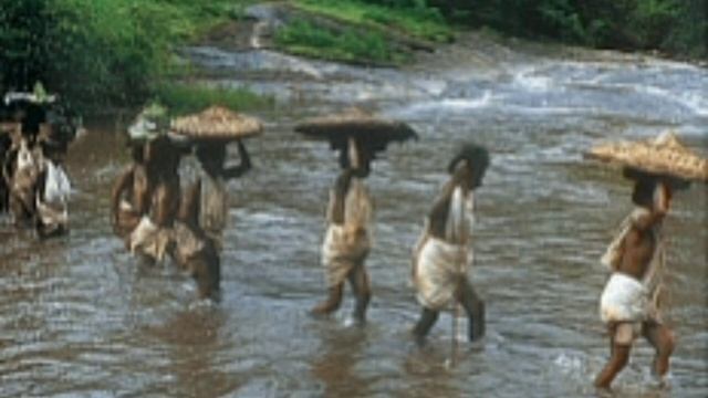 হিয়াল আৰু মেকুৰীৰ সাধু || Fox? and dog ? story смотреть онлайн