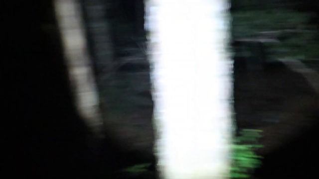 AOKIGAHARA 2021 FLORESTA DO SUICIDIO JAPÃO