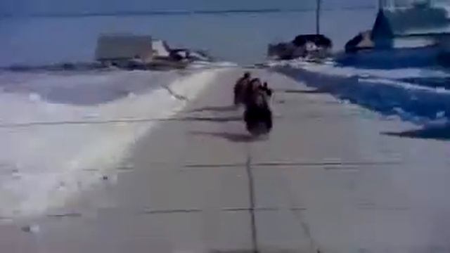 Подборка ТОП 10 Смешное видео Часть 4 Весна 2014 смотреть онлайн