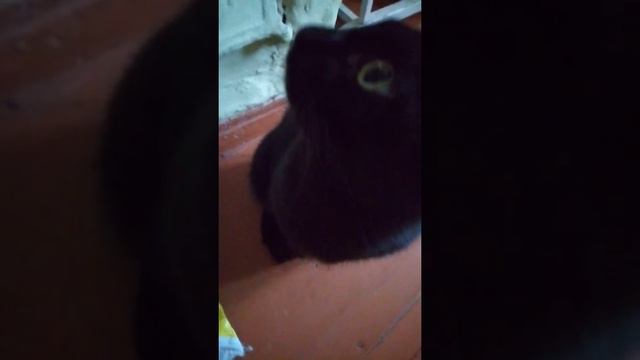 Уфа, Башкортостан, Россия-матушка, сырой и холодный БАРАК БЕЗ УДОБСТВ. Как неандертальцы в пеще смотреть онлайн