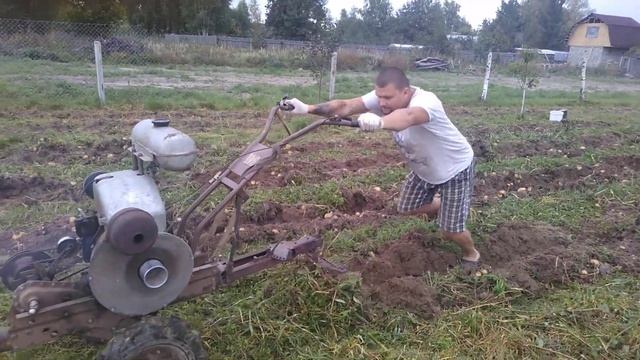Копаем картошку картофелекопалкой мотоблоком урал смотреть онлайн