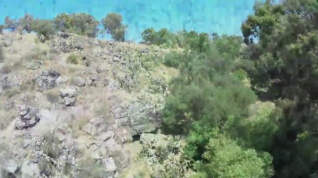 Река Иордан и водопады. Израиль. смотреть онлайн