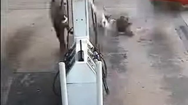 АВТО Прикол на заправке, машина неожиданно рванула с места Девушки за рулем смотреть онлайн