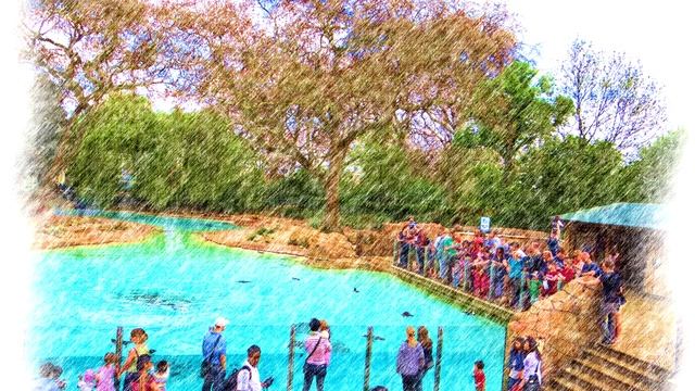 London in Summer episode 1. Regent's Park and London Zoo Photobook смотреть онлайн