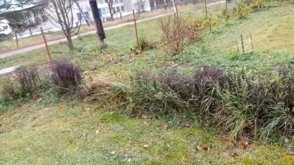 СЕПТИК БЕЗ ЗАТРАТ. КАНАЛИЗАЦИЯ. ЖИЗНЬ В ДЕРЕВНЕ // Septic without cost