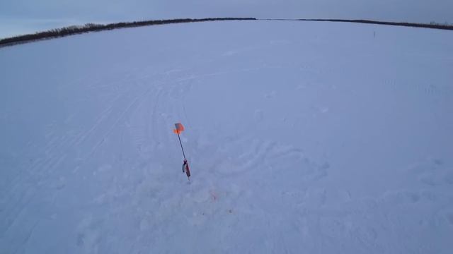 ШОК! МЕШОК ЩУКИ ЗА НЕСКОЛЬКО МИНУТ. Рыбалка жерлицами и огромная плотва на чудесную приманку. смотреть онлайн