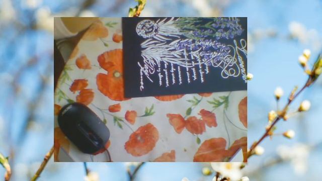 Рисуем дома: Трафаретная живопись. Лавандовое письмо смотреть онлайн