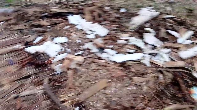 старый сарай на дрова и запчасти смотреть онлайн
