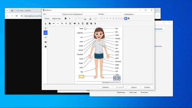 [2024] Anki урок 7 - скрытие части изображения