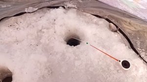 Рыбалка в Сибири! Рыбалка в минус 30. Ловля ельца зимой.