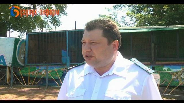 Делом занялась прокуратура смотреть онлайн