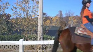 Welcome to New York - Taylor Swift | SUNY 2016 Feature