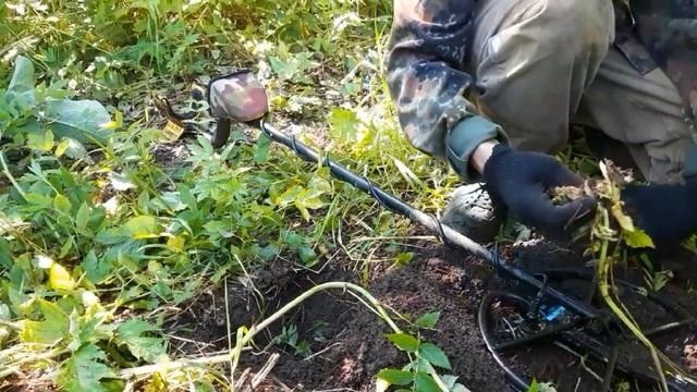День колец или типо шурф. Поиск с металлоискателем #7 смотреть онлайн