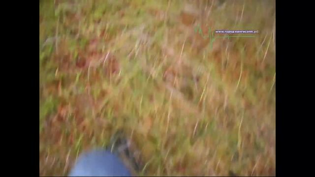 Поиски заблудившейся женщины #НИАР #кингисепп #ивангород смотреть онлайн