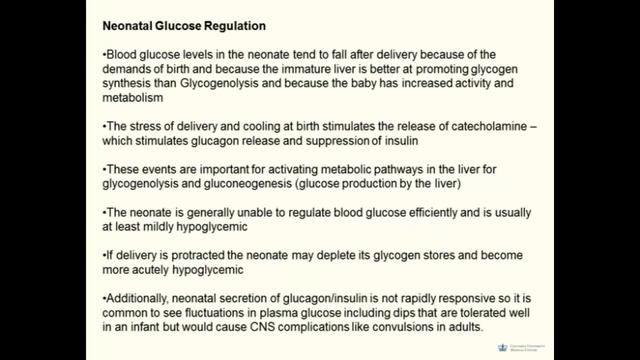 Neonatal Physiology II at home Lecture смотреть онлайн