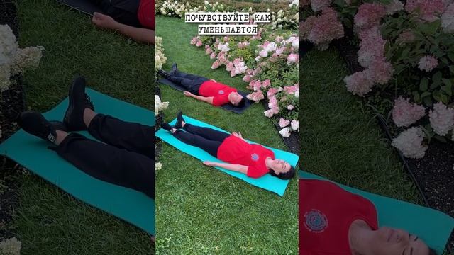 Лучшая поза для расслабления ШАВАСАНА #шавасана #расслабление #shorts #центрзож #йога #yoga #зож смотреть онлайн