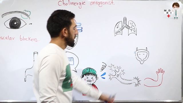 Cholinergic Antagonist part 2 (Pharmacology #15) смотреть онлайн