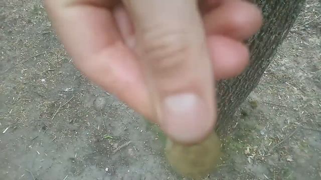 лайфхак как набрать бесплатно воды смотреть онлайн