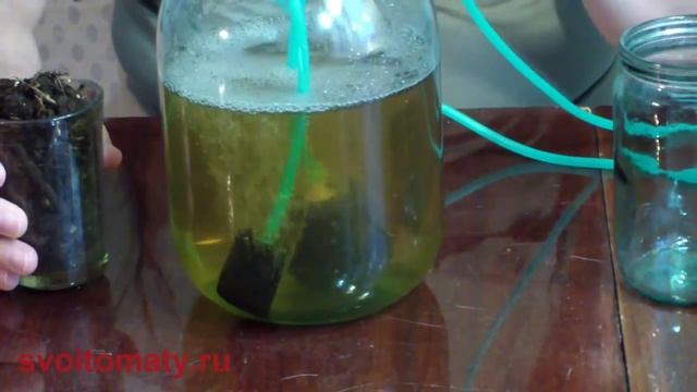 Аэрированный компостный чай. Готовим качественный ЭМ препарат смотреть онлайн