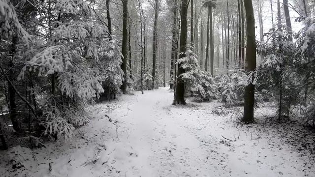 ПОЧЕМУ НУЖНО приучить СЕБЯ к СМИРЕНИЮ? СМИРЕНИЕ сделает ТЕБЯ НЕУЯЗВИМЫМ смотреть онлайн