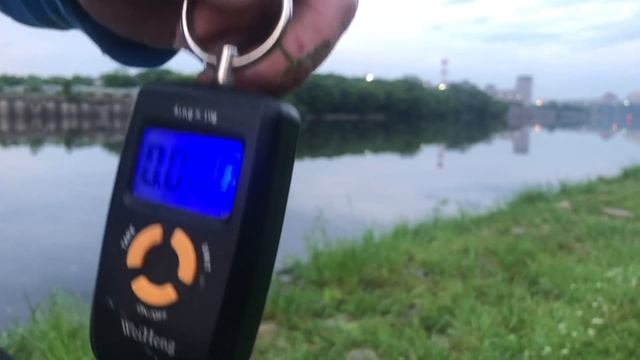 Паркуем лещей ночью / Рыбалка на реке в парке Коломенское смотреть онлайн