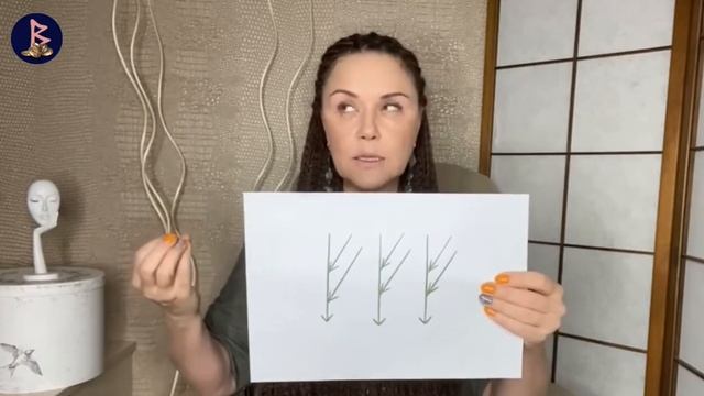 Денежная практика "3 руны Феху" + как найти принимающую руку смотреть онлайн