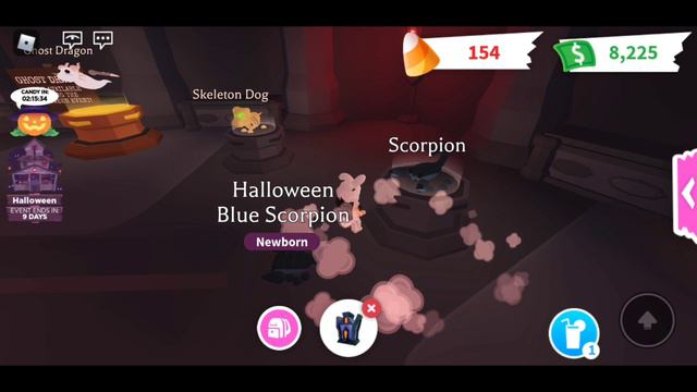 Buying Every Pet Adopt Me Halloween Event| Trades Included смотреть онлайн