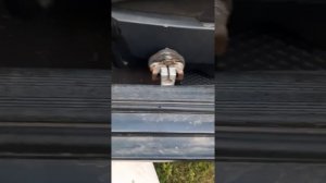 Как снять рулевую рейку ауди 80 Б4. Как отсоединить рейку от рулевой колонки