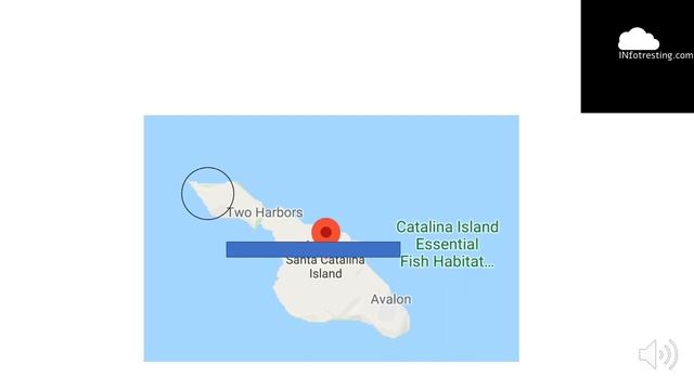 Behind the Mac Wallpaper | research video | infotresting.com смотреть онлайн