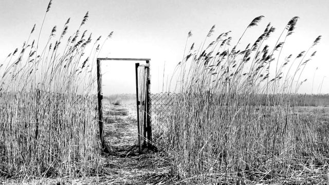 Выхода Нет смотреть онлайн