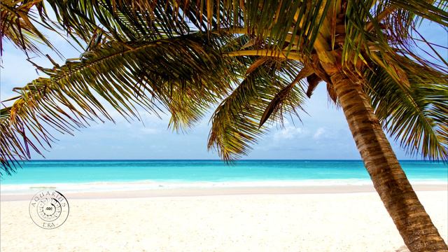 Relaxing Sounds Of Ocean Waves - Tropical Beach - Relaxation, Meditation, Sleep Sounds Of Nature