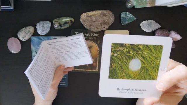 Trust Yourself. The Divine Is Leading You?️Your Daily Hope?️From Spirit?August 27? смотреть онлайн