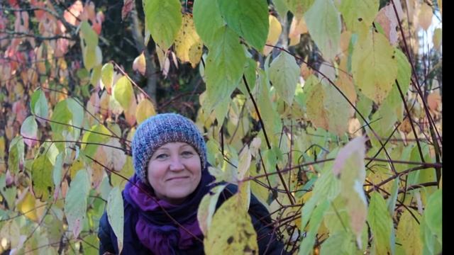 Слайд- шоу. ОСЕНЬ