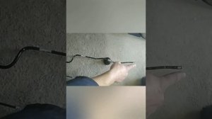 Пропало сцепление Рено Меган 3, замена демфера, прокачка сцепления.