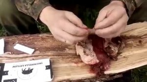 ЭКСПРЕСС-ТЕСТ на Трихинеллёз